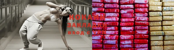 шишки Краснослободск