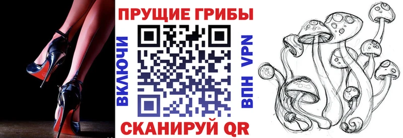 Галлюциногенные грибы Psilocybe  как найти закладки  Мурино 