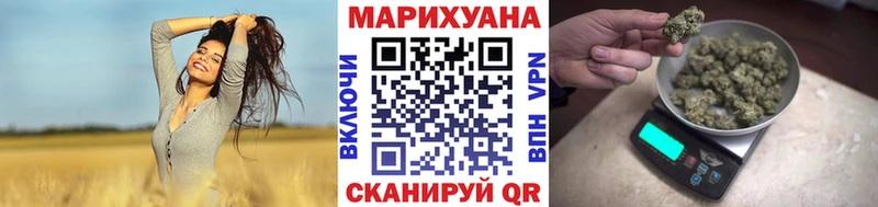 Конопля ГИДРОПОН  Мурино 